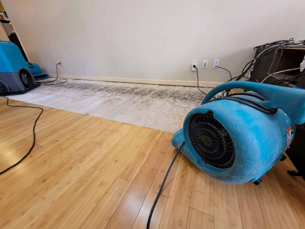 Professional Water Damage Repair technician working in Mount Summit, IN